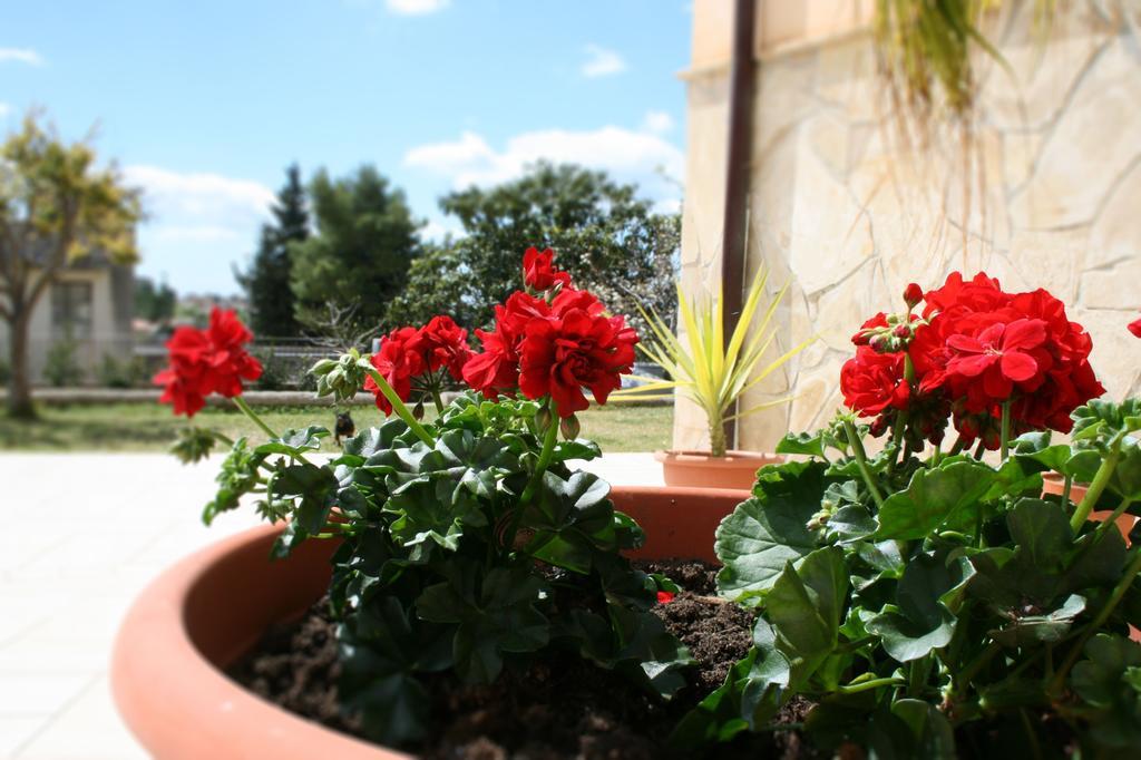 Villa Mara B&B Noto Exterior foto